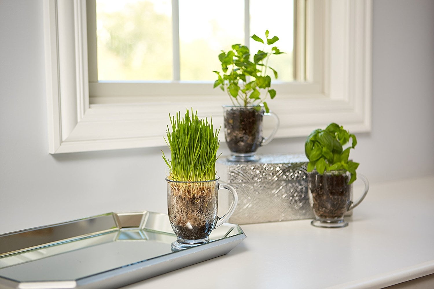 Anchor Hocking Clear Mug Set, 4 Piece - Image 5